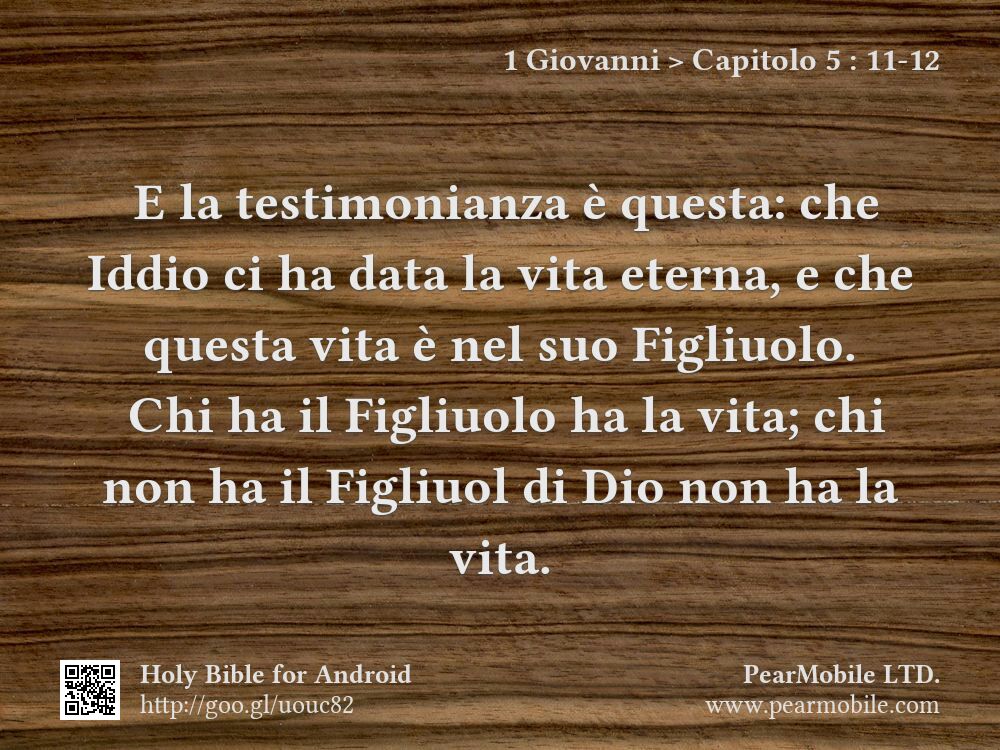1 Giovanni, Capitolo 5:11-12